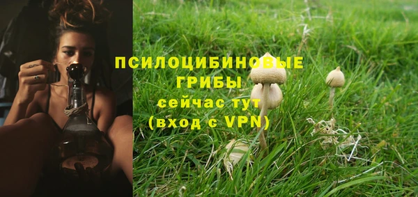 2c-b Алексеевка